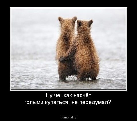 Ну че, как насчёт голыми купаться, не передумал?