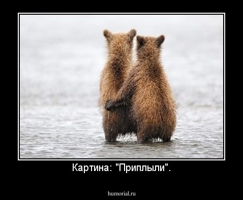 Картина: "Приплыли".