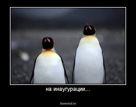 на инаугурации...