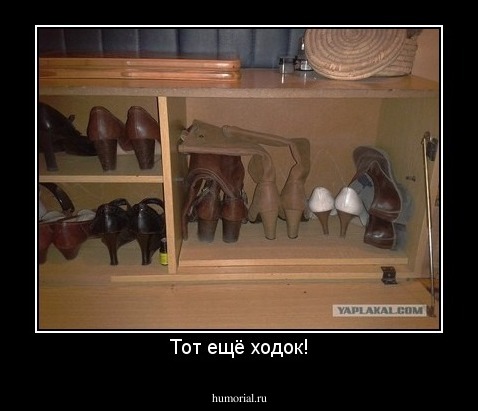 Тот ещё ходок!