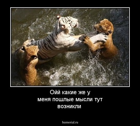 Ойй какие же у меня пошлые мысли тут возникли\