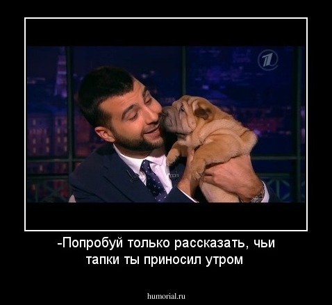 -Попробуй только рассказать, чьи тапки ты приносил утром 
