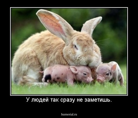 У людей так сразу не заметишь.