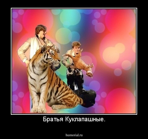 Братья Куклапашные.