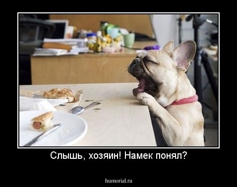 Слышь, хозяин! Намек понял?
