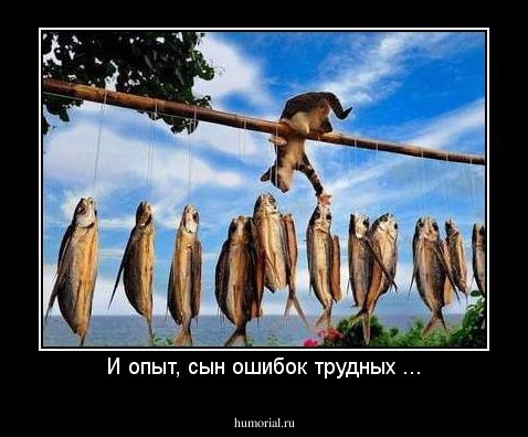 И опыт, сын ошибок трудных ...