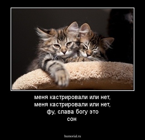 меня кастрировали или нет, меня кастрировали или нет, фу, слава богу это сон