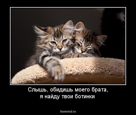Слышь, обидишь моего брата, я найду твои ботинки
