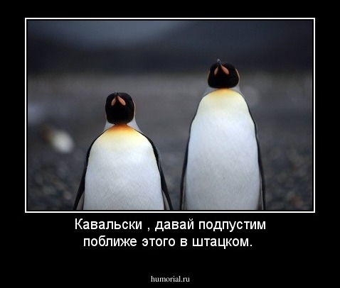 Кавальски , давай подпустим поближе этого в  штацком.
