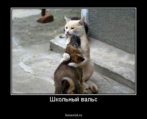 Школьный вальс