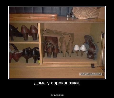 Дома у сороконожки.