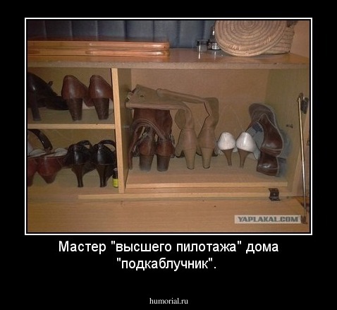 Мастер "высшего пилотажа" дома "подкаблучник".
