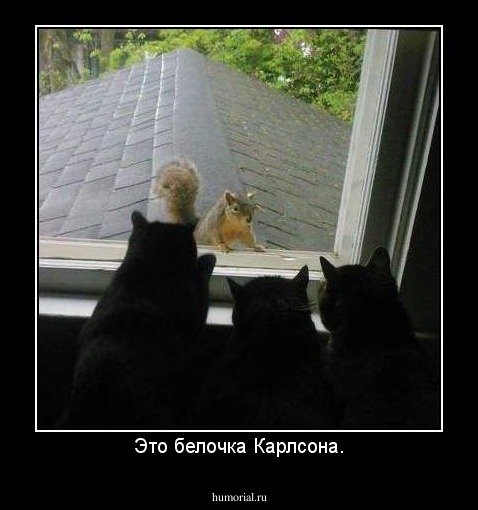 Это белочка Карлсона.