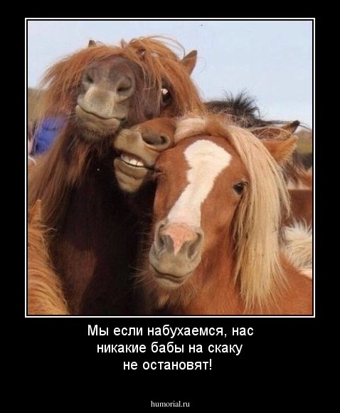 Мы если набухаемся, нас никакие бабы на скаку не остановят!