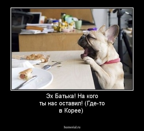 Эх Батька! На кого ты нас оставил! (Где-то в Корее) 