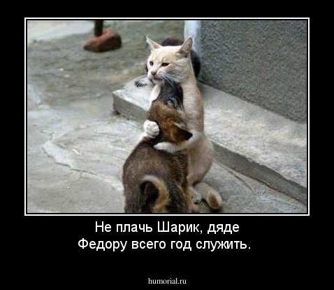 Не плачь Шарик, дяде Федору всего год служить.