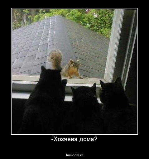 -Хозяева дома?