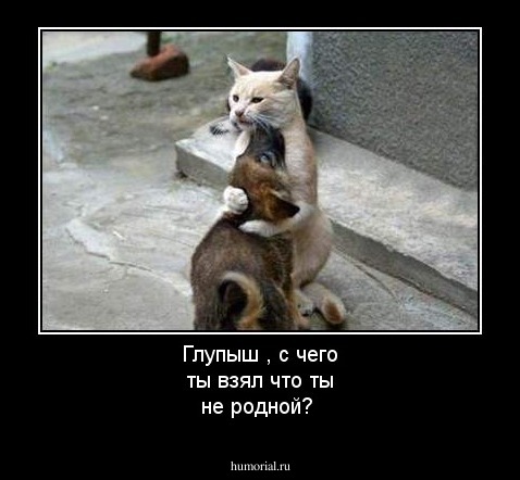 Глупыш , с чего ты взял что ты не родной?
