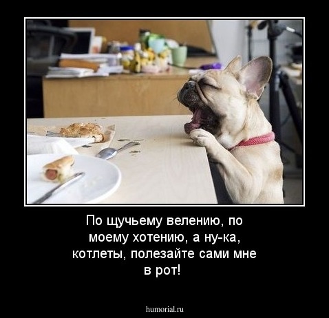 По щучьему велению, по моему хотению, а ну-ка, котлеты, полезайте сами мне в рот!