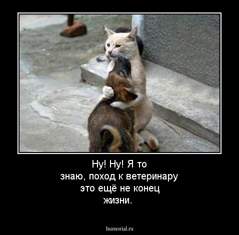 Ну! Ну! Я то знаю, поход к ветеринару это ещё не конец жизни.