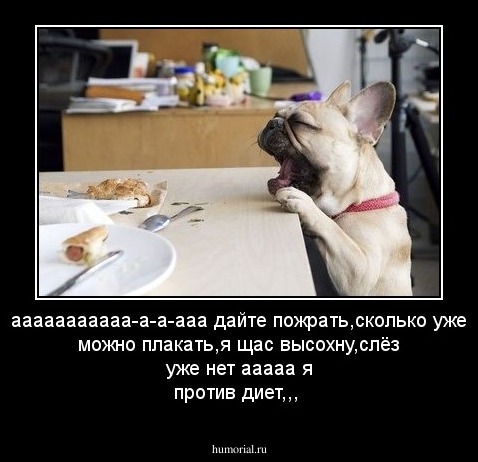 ааааааааааа-а-а-ааа дайте пожрать,сколько уже можно плакать,я щас высохну,слёз уже нет ааааа я против диет,,,