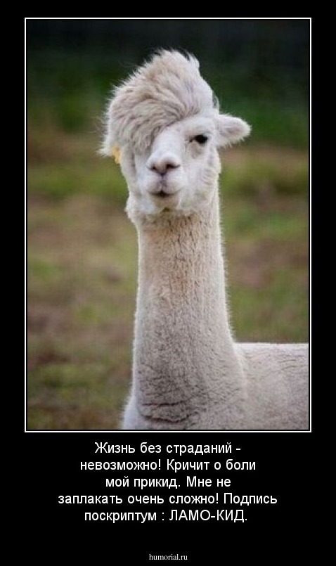 Жизнь без страданий - невозможно!
Кричит о боли мой прикид.
Мне не заплакать очень сложно!
Подпись поскриптум : ЛАМО-КИД.
