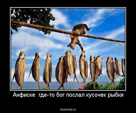 Анфиске  где-то бог послал кусочек рыбки
