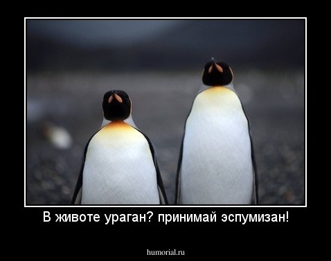 В животе ураган? принимай эспумизан!
