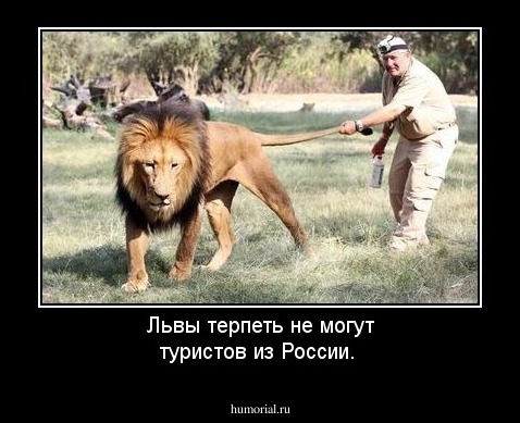 Львы терпеть не могут туристов из России.