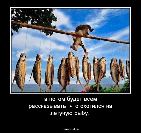а потом будет всем рассказывать, что охотился на летучую рыбу.