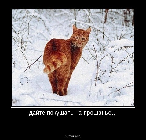 дайте покушать на прощанье,,,

