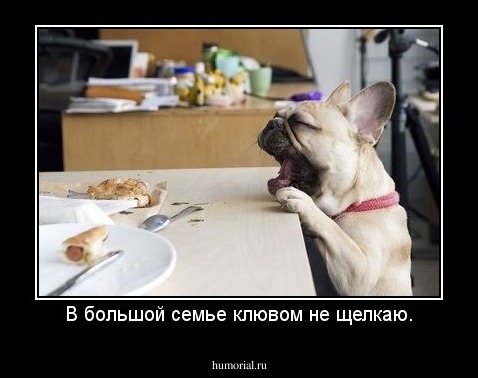 В большой семье клювом не щелкаю.