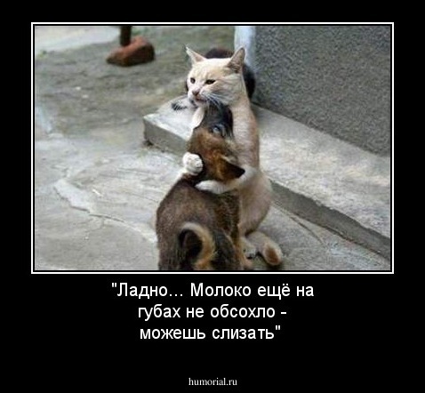 "Ладно... Молоко ещё на губах не обсохло - можешь слизать"