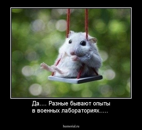 Да.... Разные бывают опыты в военных лабораториях.....