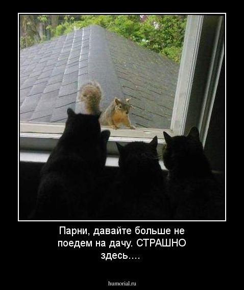 Парни, давайте больше не поедем на дачу. СТРАШНО здесь....