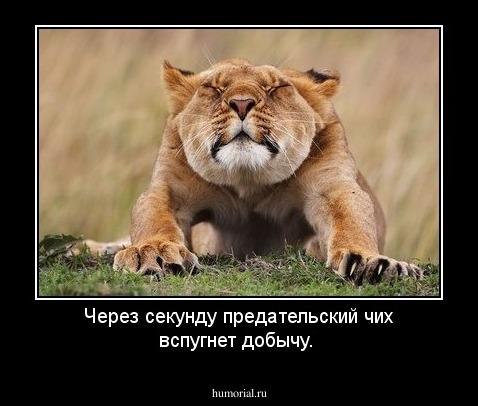 Через секунду предательский чих вспугнет добычу.