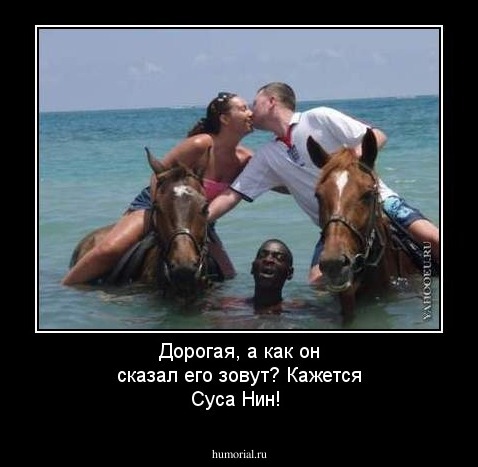 Дорогая, а как он сказал его зовут? Кажется Суса Нин!