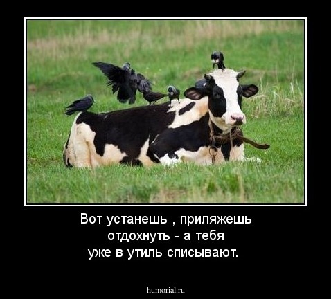Вот устанешь , приляжешь отдохнуть - а тебя уже в утиль списывают.