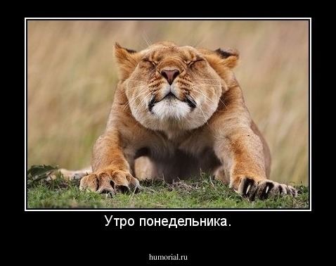 Утро понедельника.
