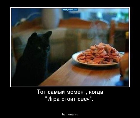 Тот самый момент, когда "Игра стоит свеч".