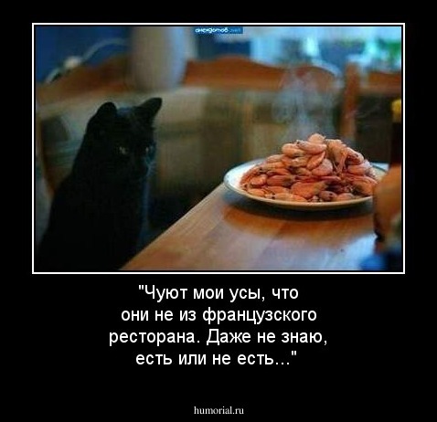 "Чуют мои усы, что они не из французского ресторана. Даже не знаю, есть или не есть..."