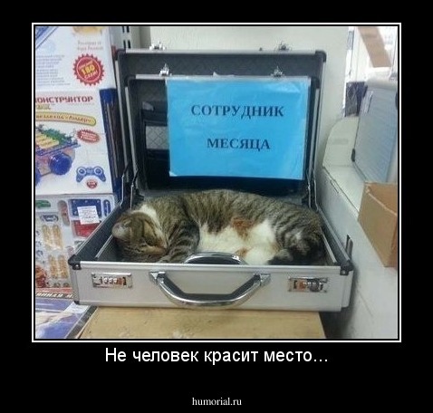 Не человек красит место...