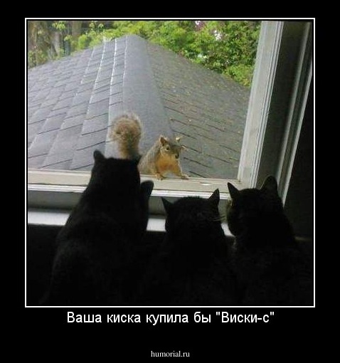 Ваша киска купила бы "Виски-с"