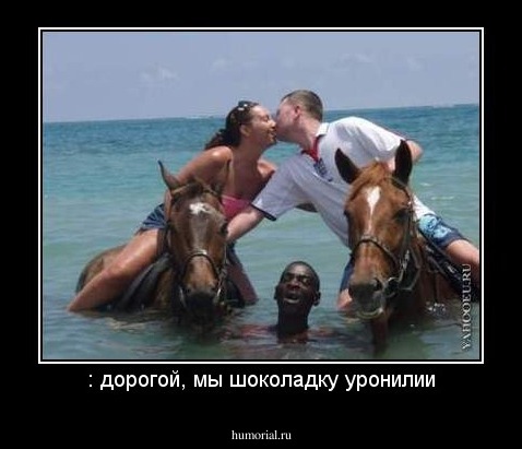 : дорогой, мы шоколадку уронилии