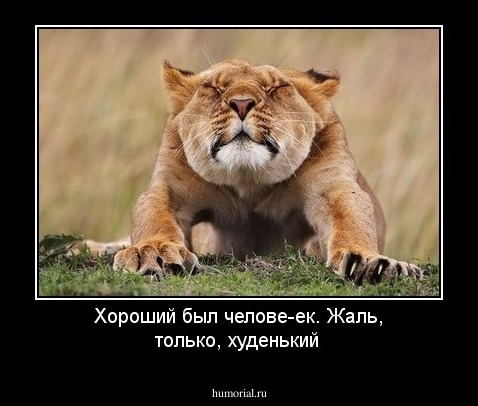 Хороший был челове-ек. Жаль, только, худенький