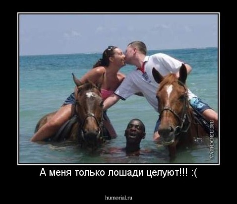А меня только лошади целуют!!! :(