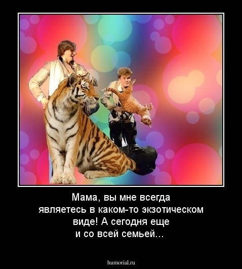 Мама, вы мне всегда являетесь в каком-то экзотическом виде! А сегодня еще и со всей семьей...