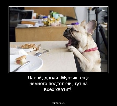 Давай, давай, Мурзик, еще немного подтолкни, тут на всех хватит!