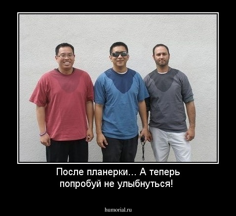 После планерки... А теперь попробуй не улыбнуться!