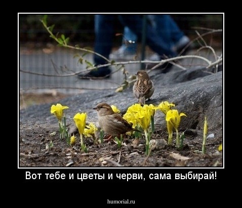 Вот тебе и цветы и черви, сама выбирай!